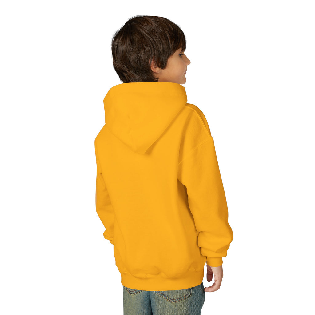 Youth Hoodie — "Why Is Everyone Rushing Me?" Colorful Comic Graphic
