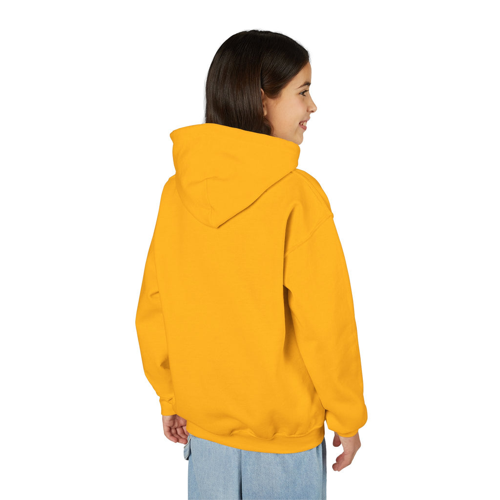 Youth Hoodie — "Why Is Everyone Rushing Me?" Colorful Comic Graphic