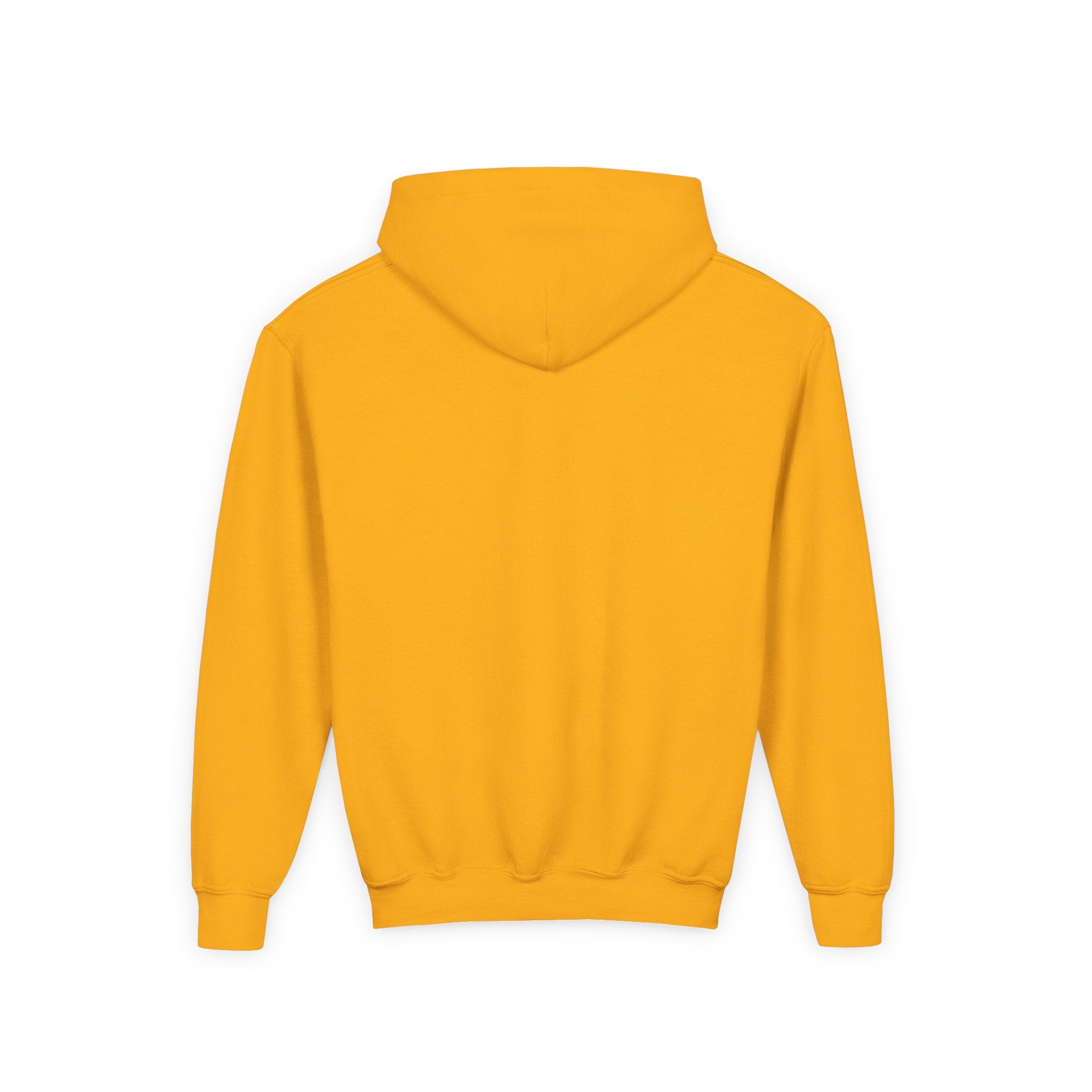 Youth Hoodie — "Why Is Everyone Rushing Me?" Colorful Comic Graphic